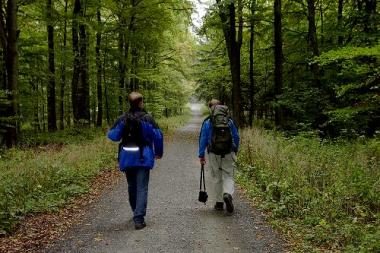 Wanderer auf einem Waldweg in der Rhön